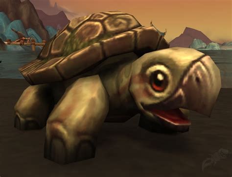 turtle wow|turtle wow chinese.